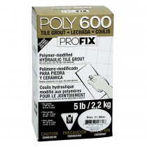 Poly 600 (Coulis cimentaire sans sable)
